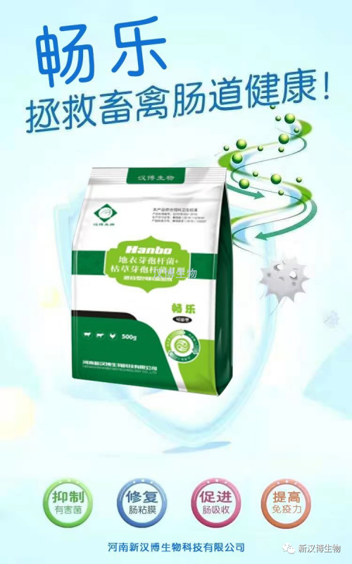 飼料禁抗后，斷奶仔豬腹瀉問題將更為嚴重，養豬人如何應對
